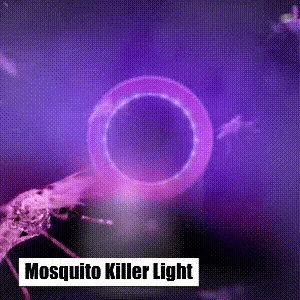 ZapGuard™ LED Mosquito Killer Lamp – Say Goodbye to Pesky Mosquitoes! 🦟⚡